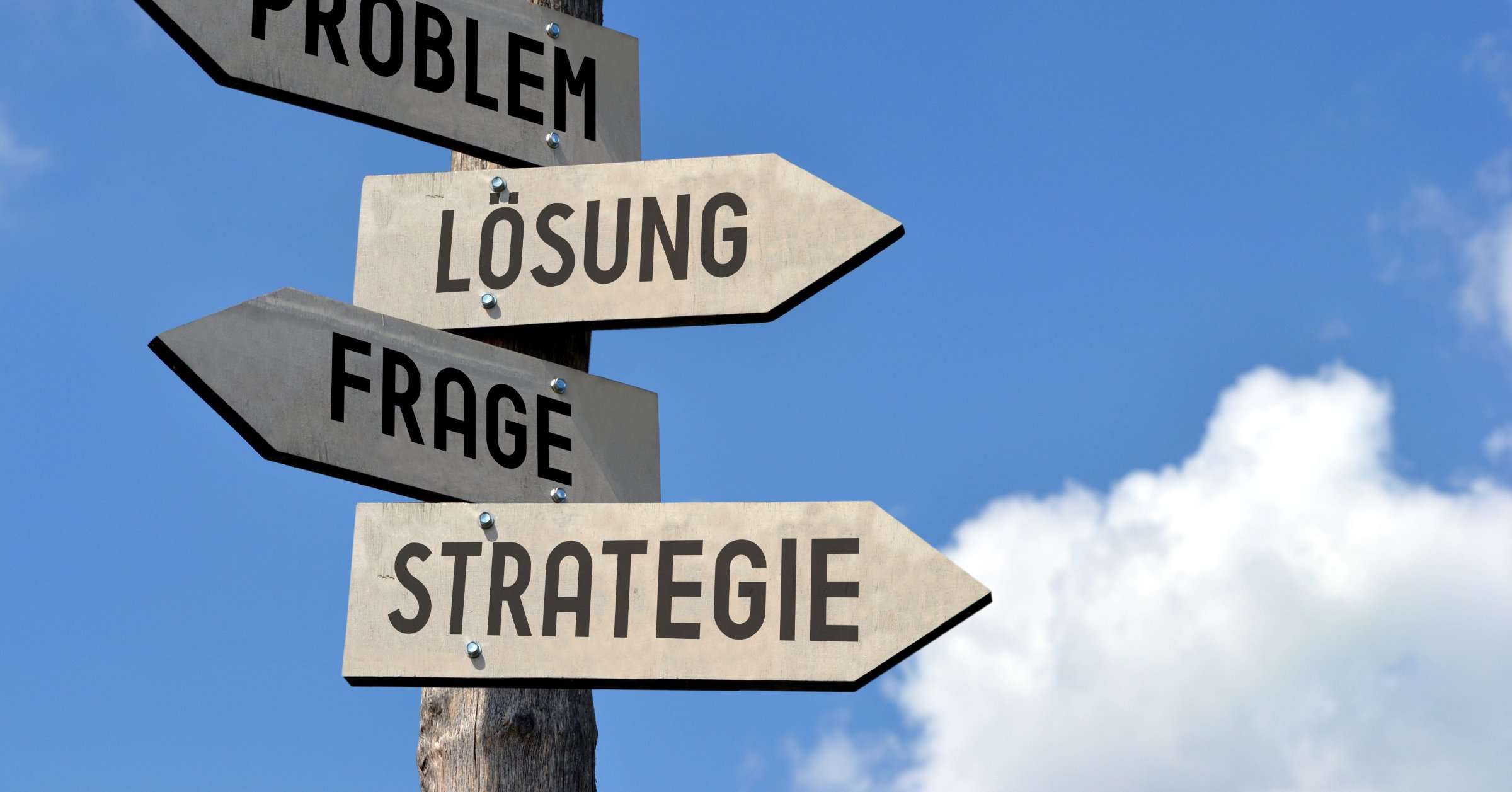 Fundraising-Projekte erfolgreich planen und umsetzen |Fundraising ...