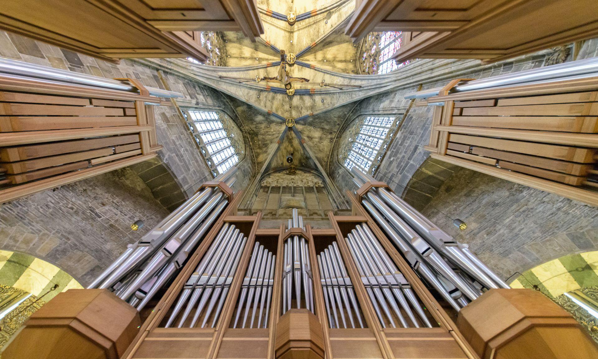 Die Orgel - Instrument des Jahres 2021