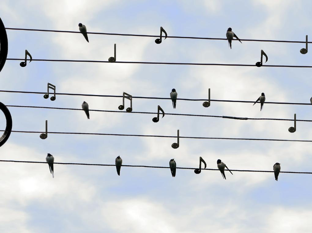 C-Ausbildung - Christliche Popularmusik