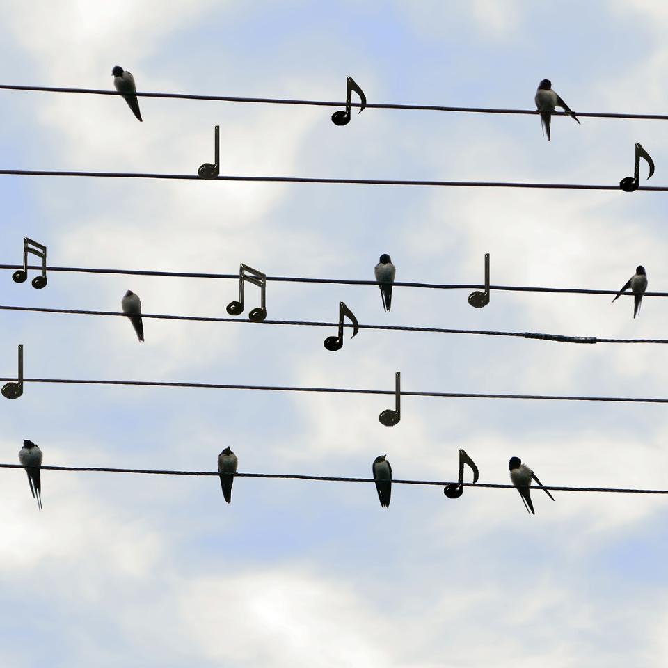 C-Ausbildung - Christliche Popularmusik