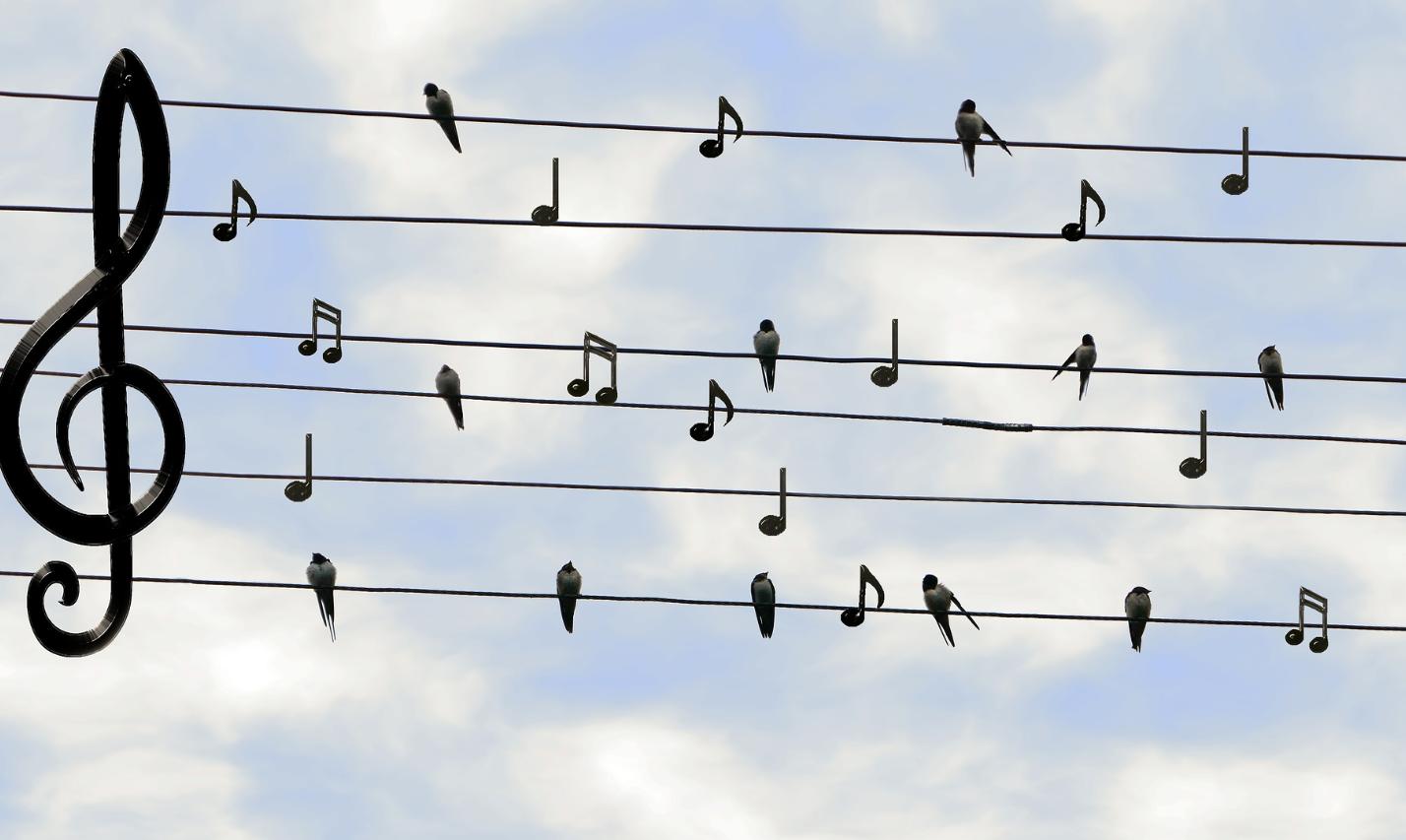 C-Ausbildung - Christliche Popularmusik