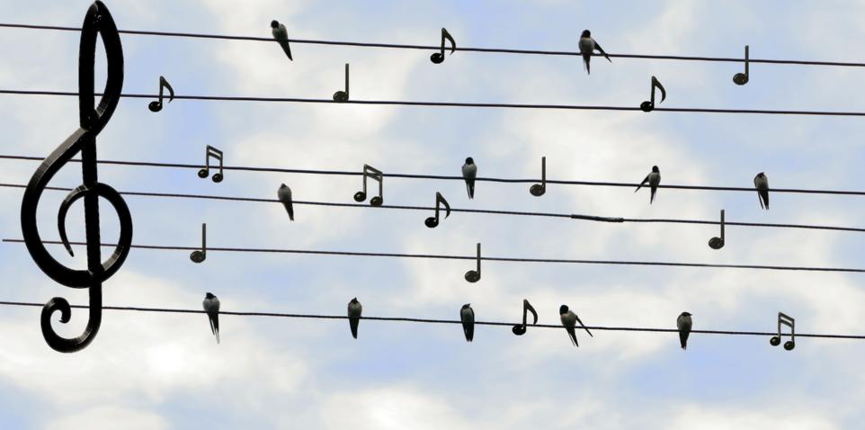 C-Ausbildung - Christliche Popularmusik