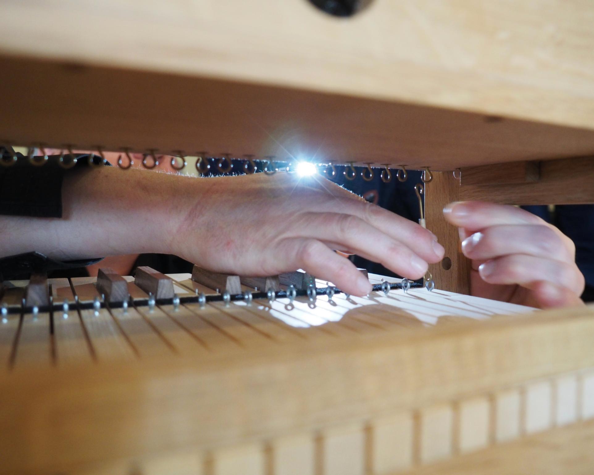Doe-Orgel