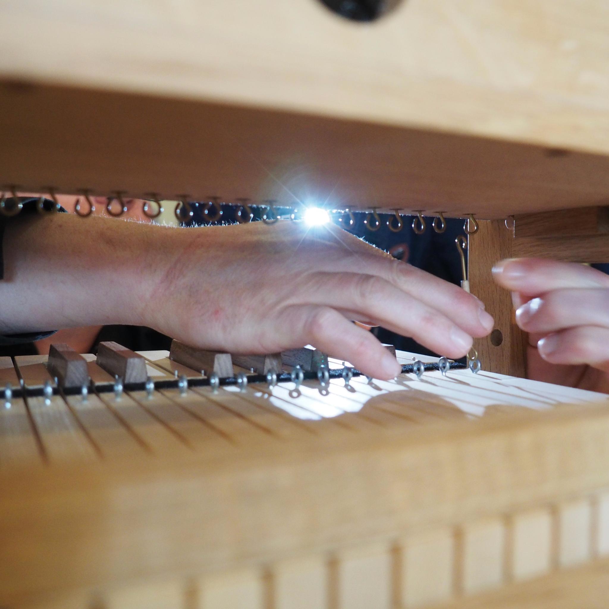 Doe-Orgel