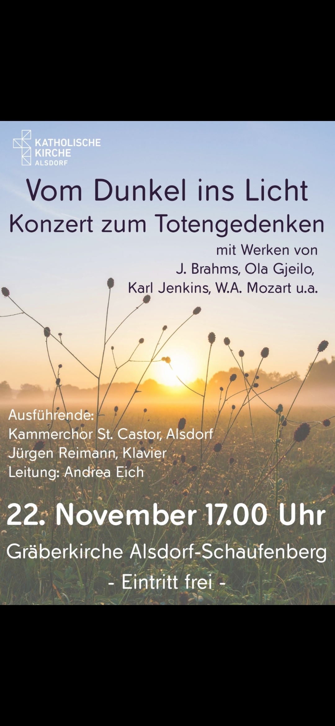 Vom Dunkel ins Licht