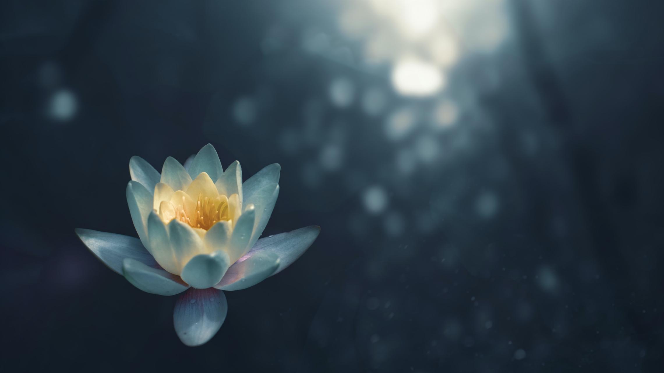 Meditation