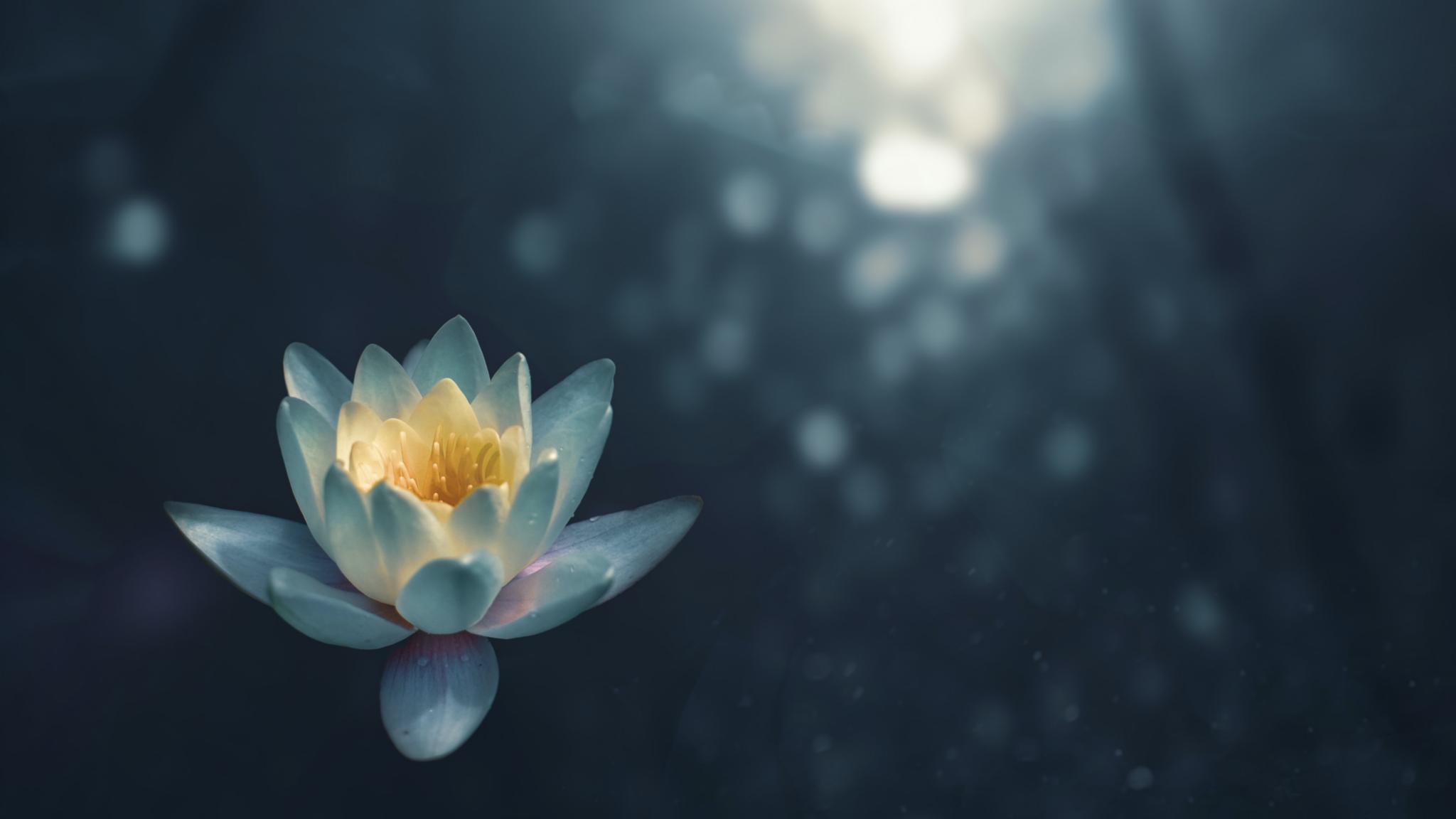 Meditation