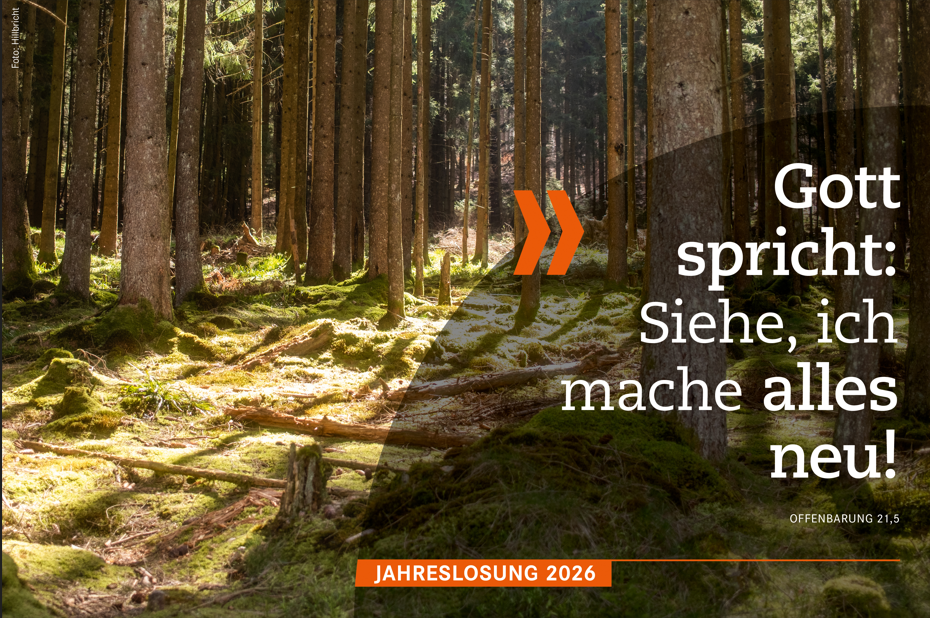 Jahreslosung 2026
