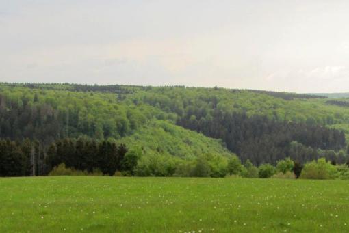 FRIEDEN, GERECHTIGKEIT, BEWAHRUNG DER SCHÖPFUNG