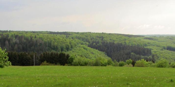 FRIEDEN, GERECHTIGKEIT, BEWAHRUNG DER SCHÖPFUNG
