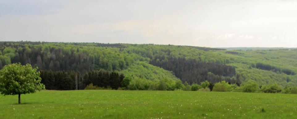 FRIEDEN, GERECHTIGKEIT, BEWAHRUNG DER SCHÖPFUNG