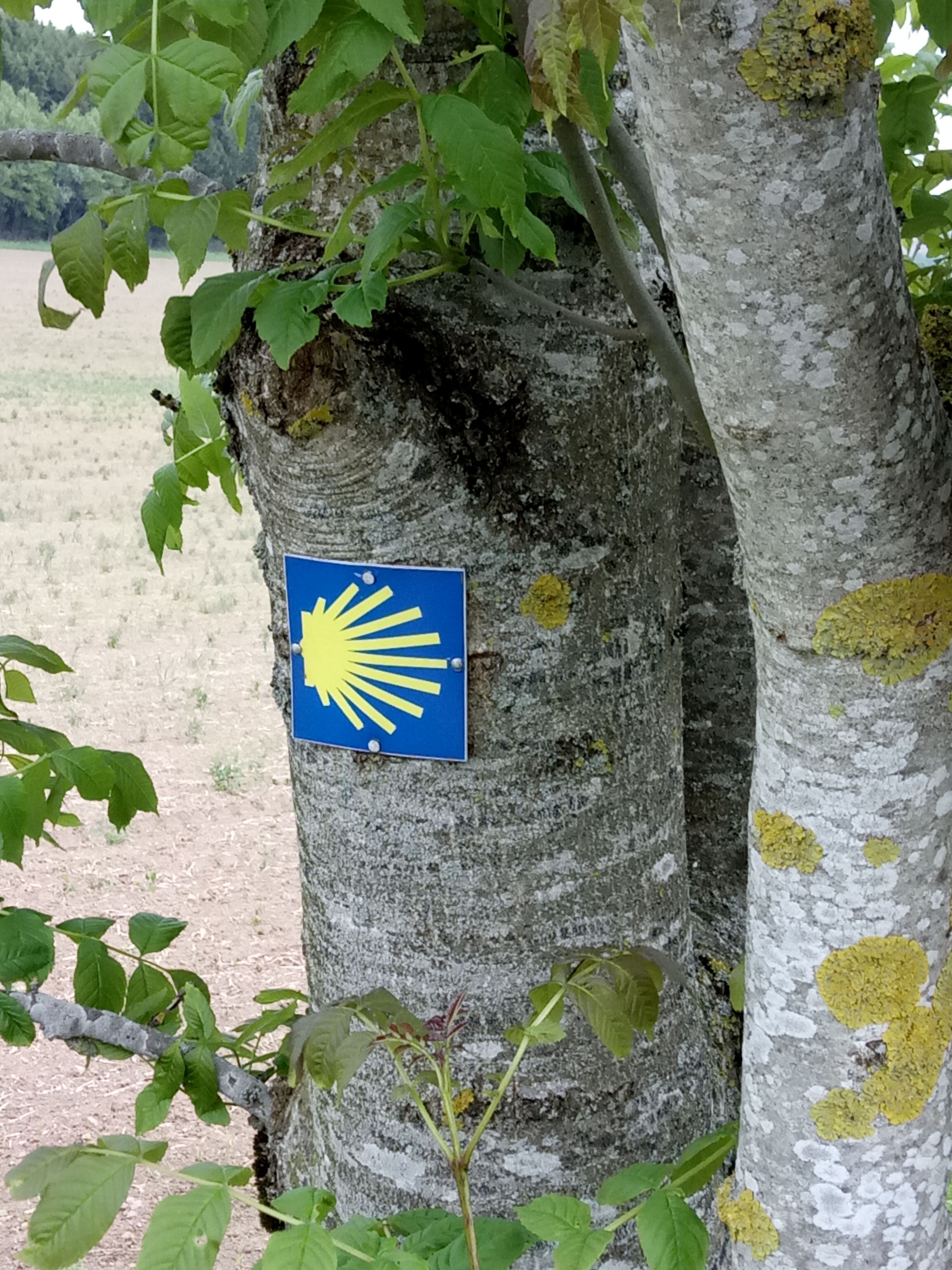 Wegzeichen
