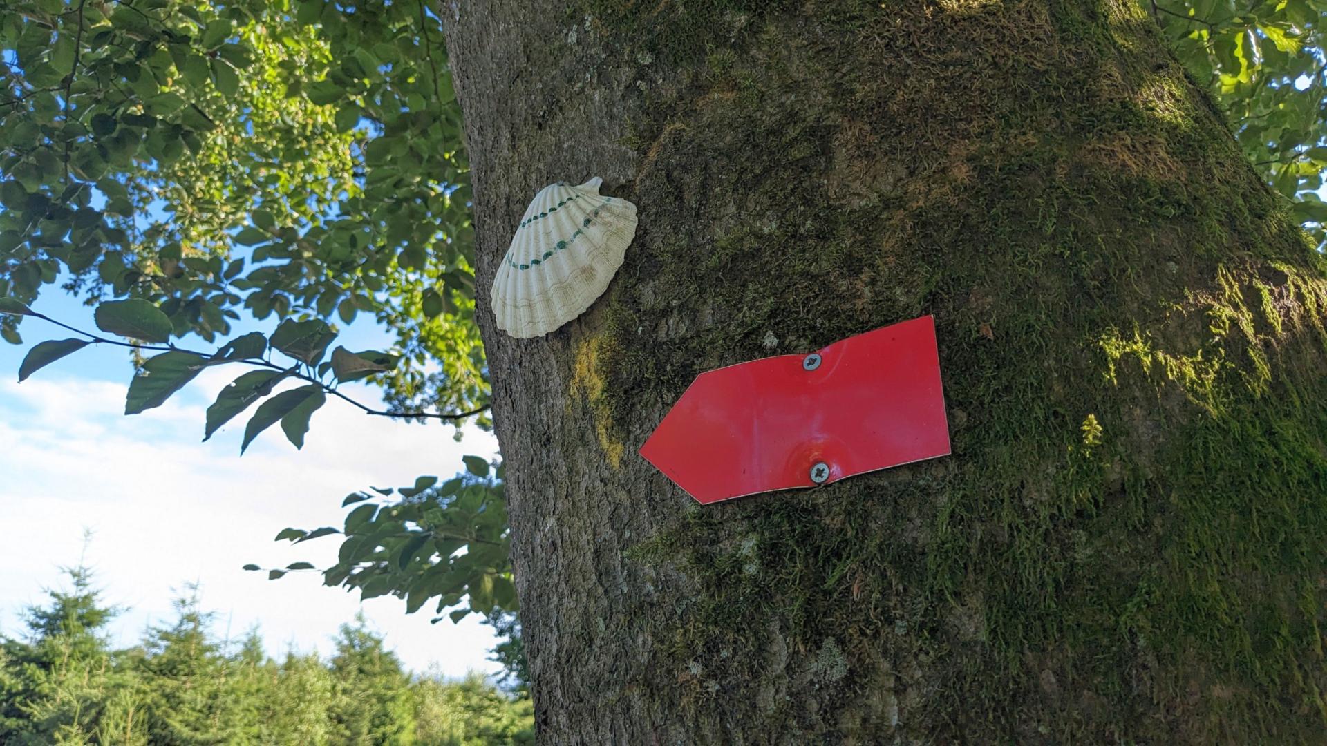 Die Muschel ist das Zeichen der Jakobspilger und markiert in diesem Fall die Via Mosana von Aachen nach Namur.