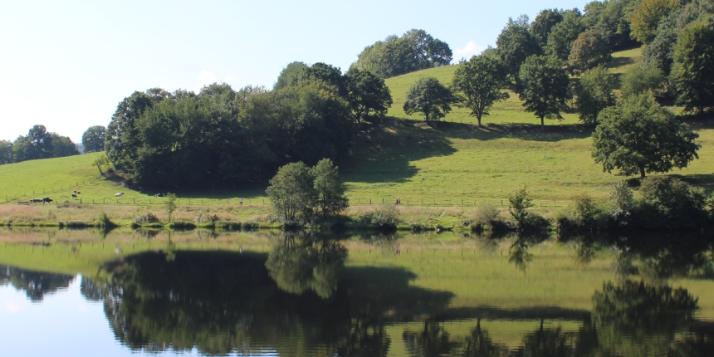 Pilgern im Nationalpark Eifel