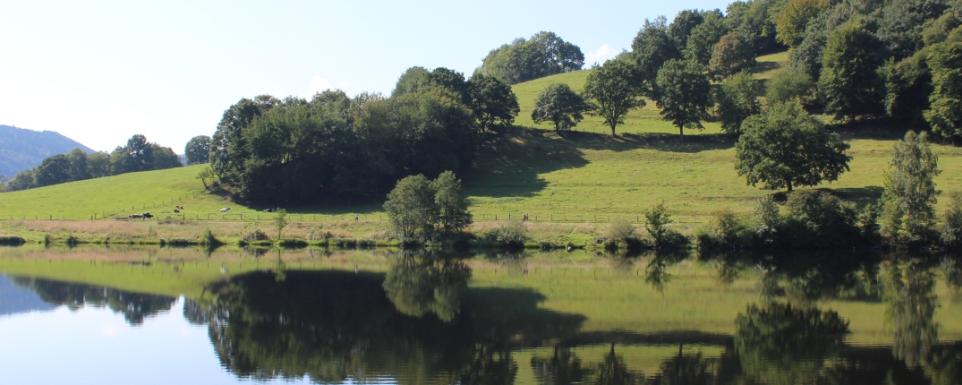 Pilgern im Nationalpark Eifel