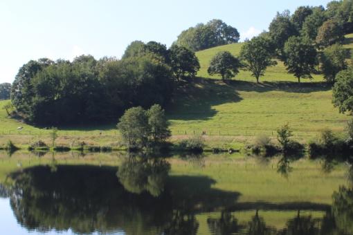 Pilgern im Nationalpark Eifel