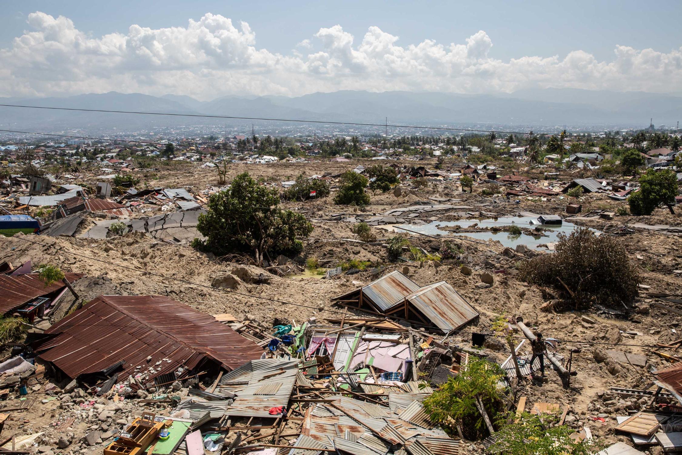 Der Tsunami verwüstete ganze Landstriche.