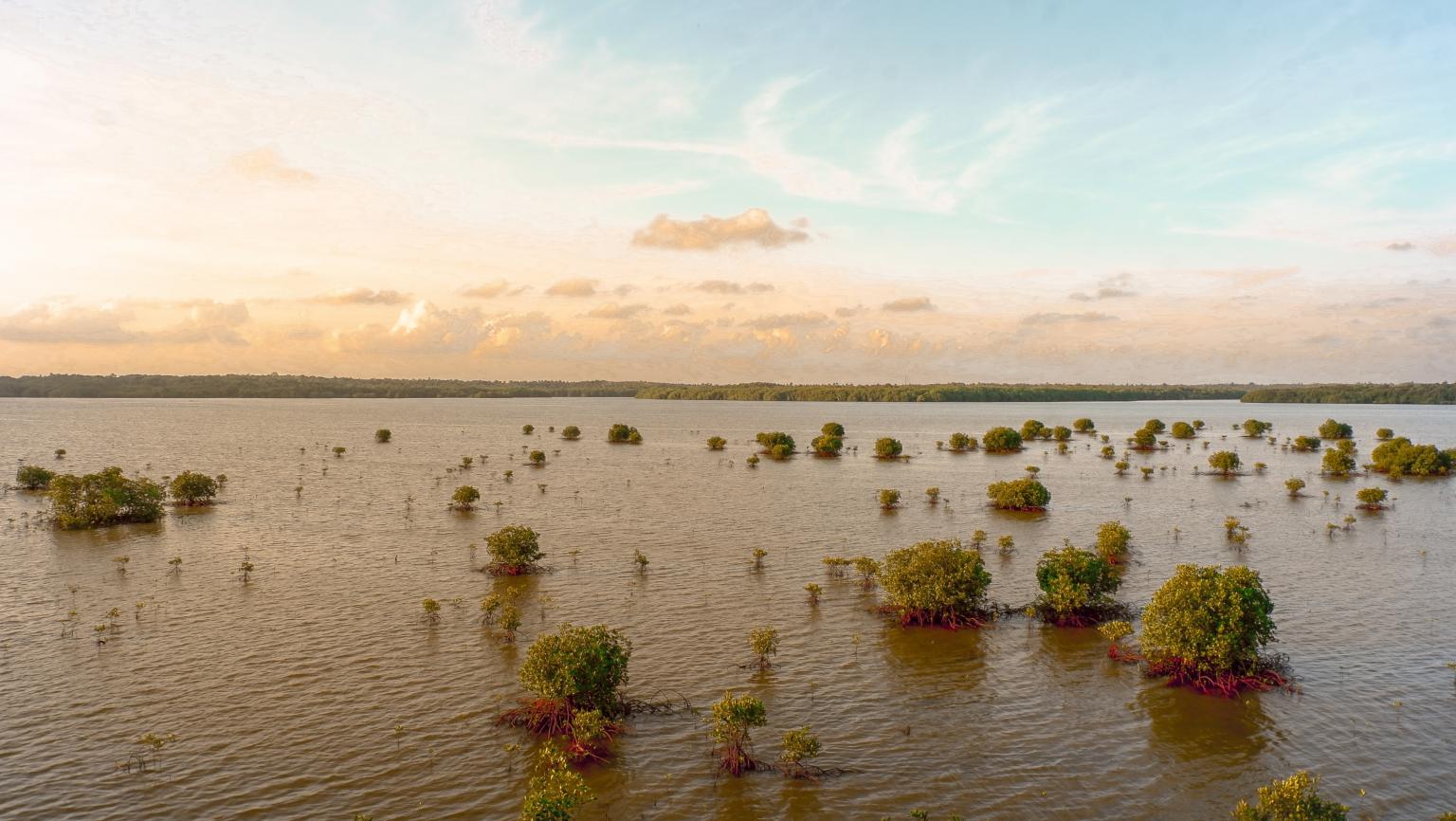 Flood (c) rachman reilli / unsplash.com