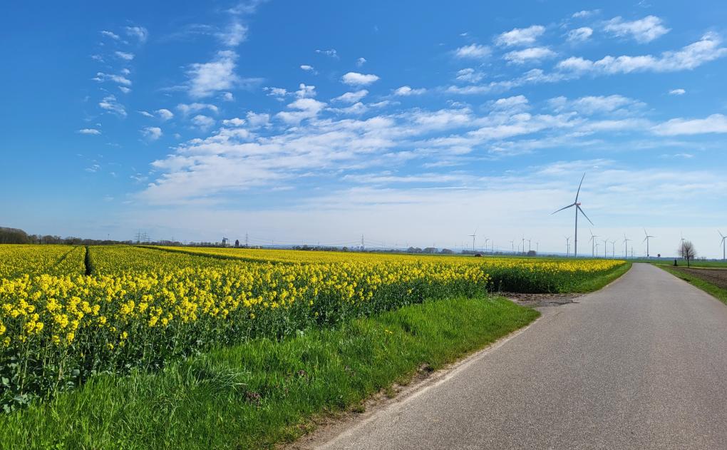 Windkraft