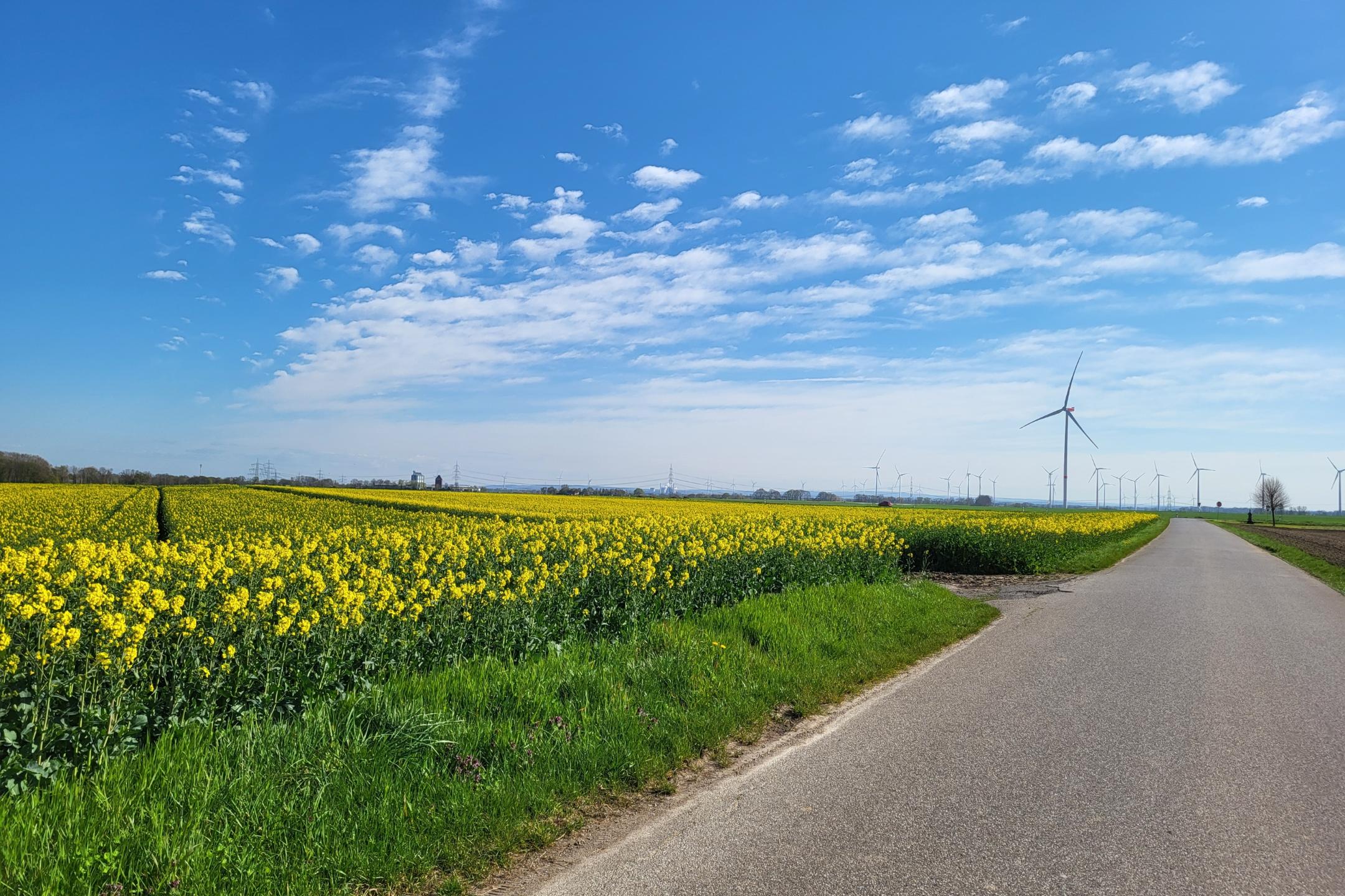 Windkraft