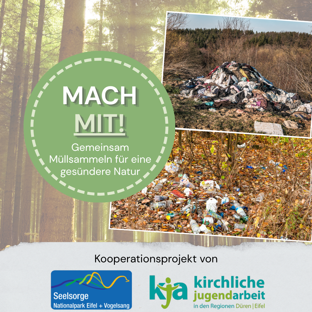 Projekttag Schöpfungsverantwortung