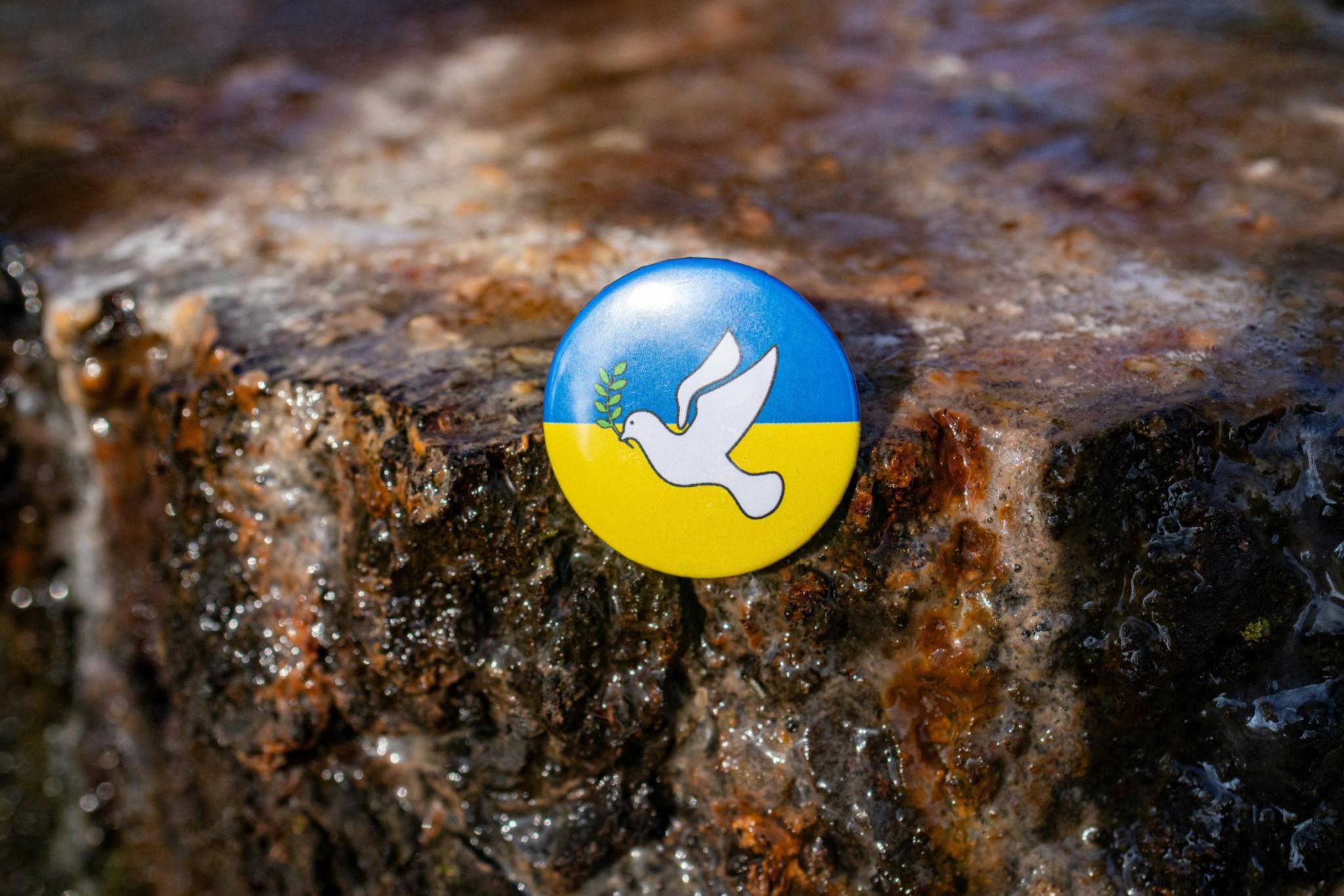 marek-studzinski-f7ZmvknOWnc-unsplash