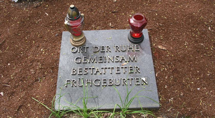 Bild3.jpg