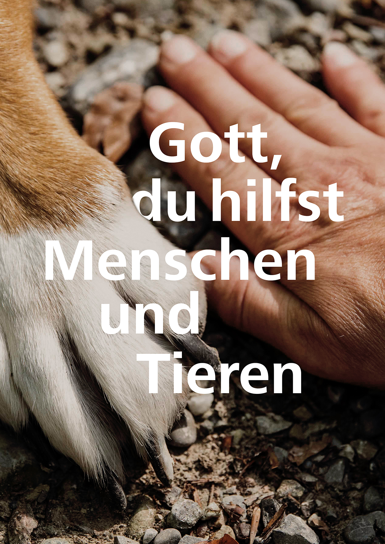 Poster_2025_Motto_2025_Text_RGB