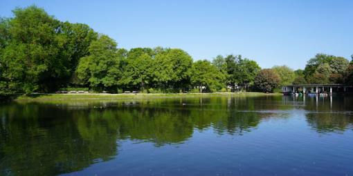 Spaziergang Hangeweiher