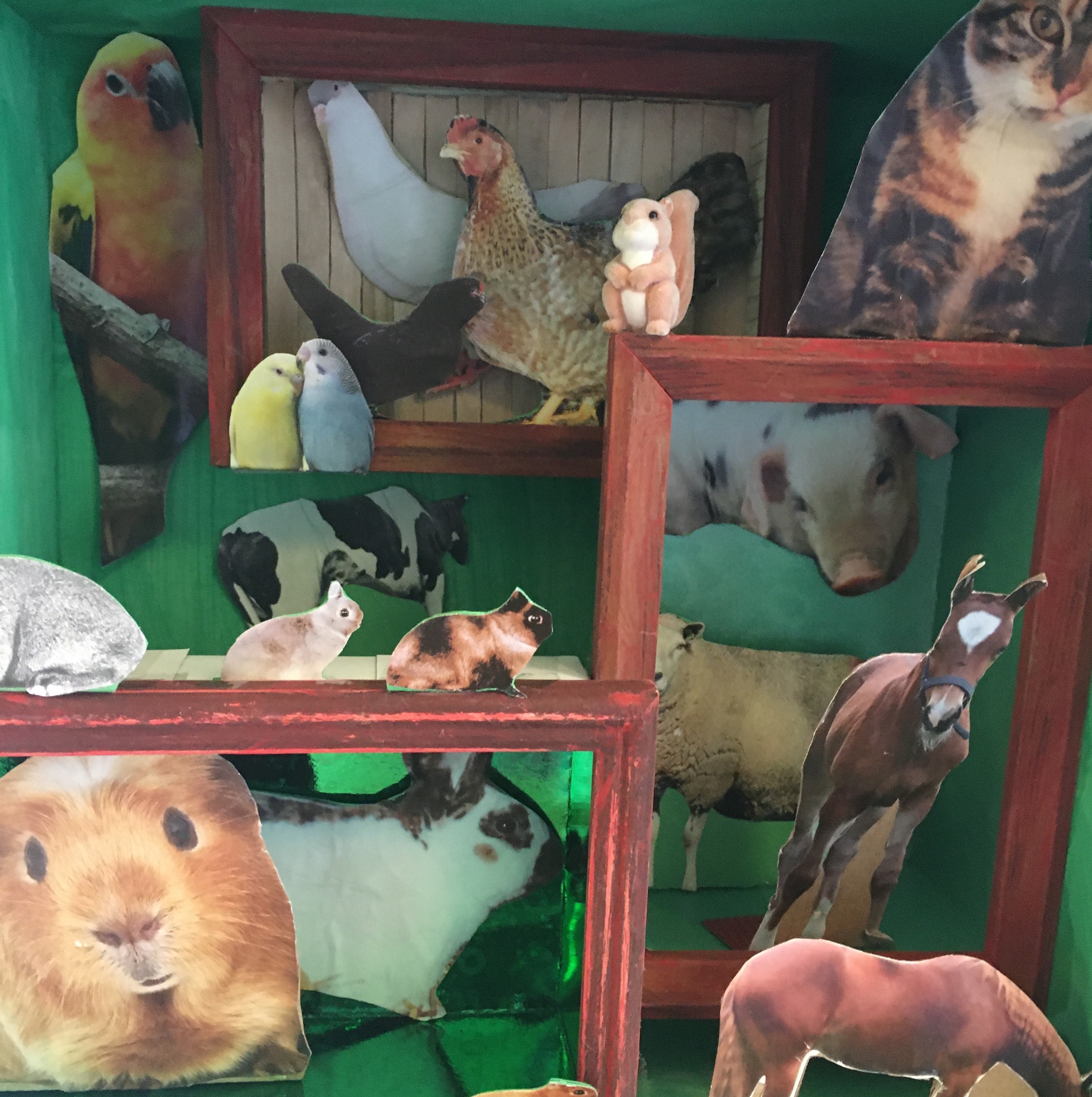 Unsere Tierchen boerderij Op de Bies