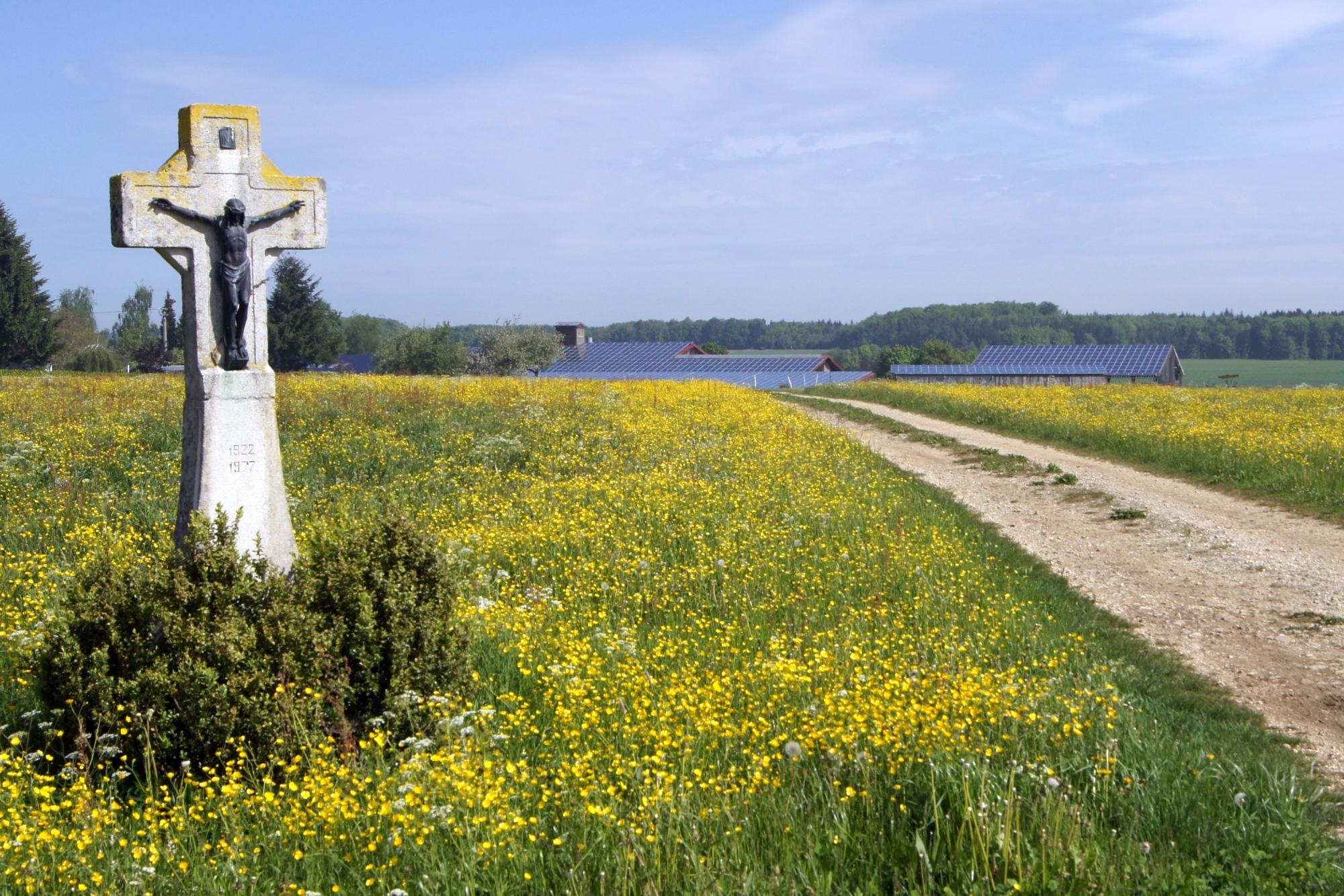 Blumenwiese mit Wegkreuz und Photovoltaikanlage