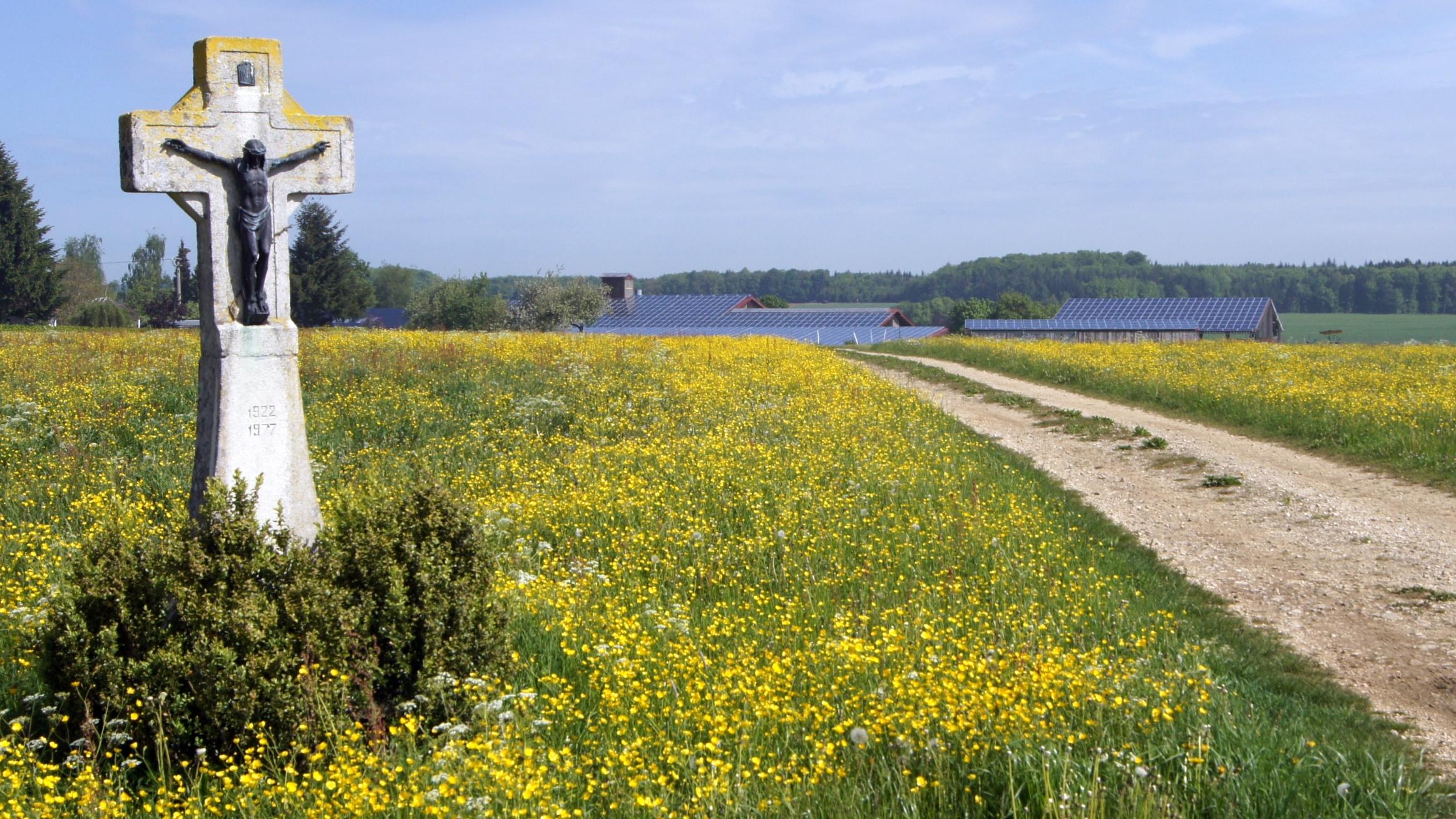 Blumenwiese mit Wegkreuz und Photovoltaikanlage