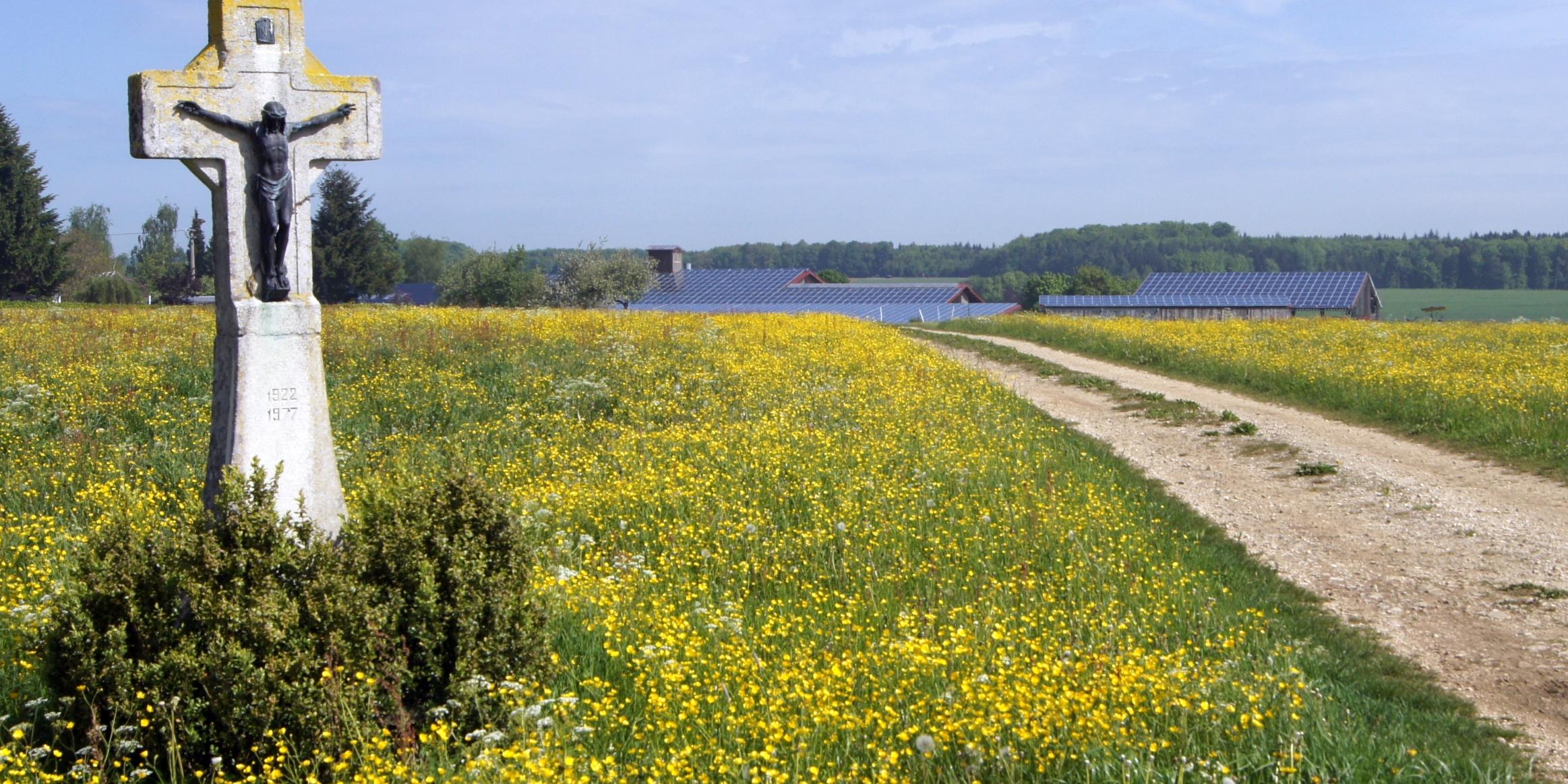 Blumenwiese mit Wegkreuz und Photovoltaikanlage