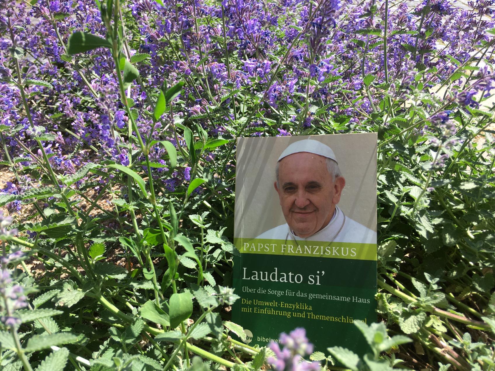 Enzyklika Laudato si' (c) Marie Goebel