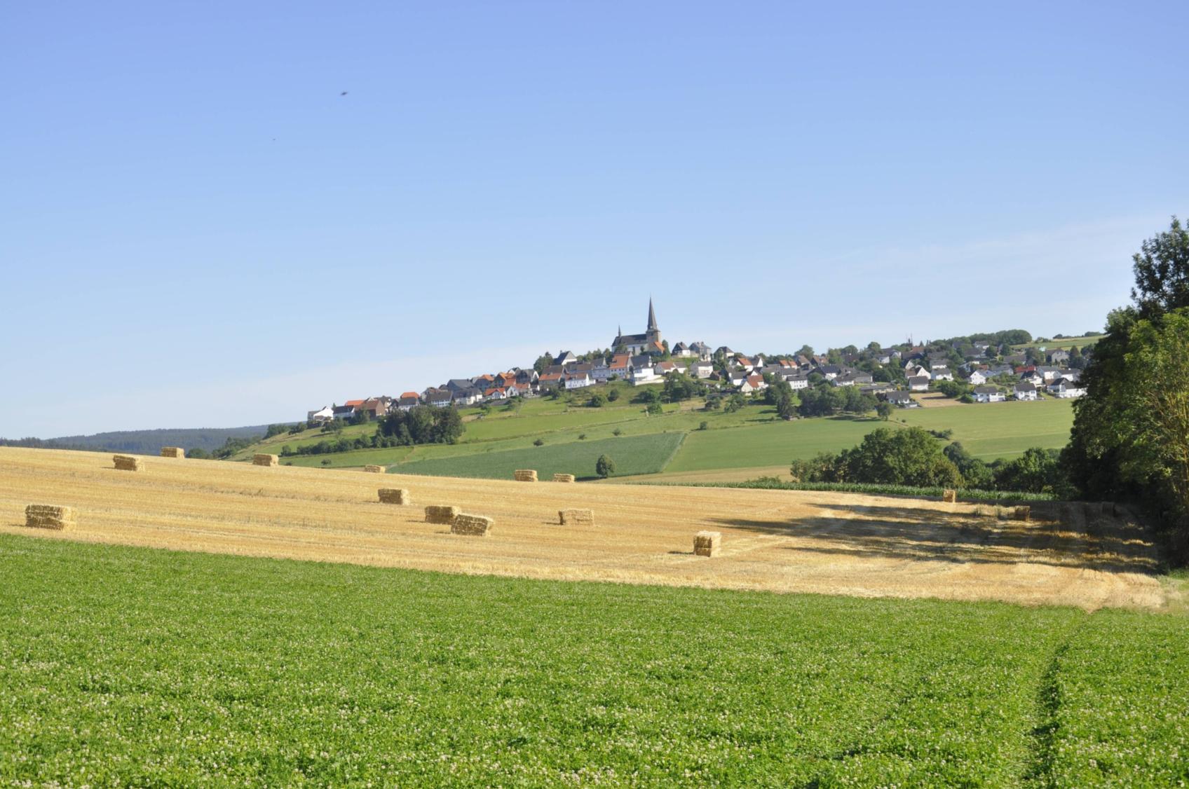 Schöpfungsfreundliche Verpachtung (c) Karola Wiedemann