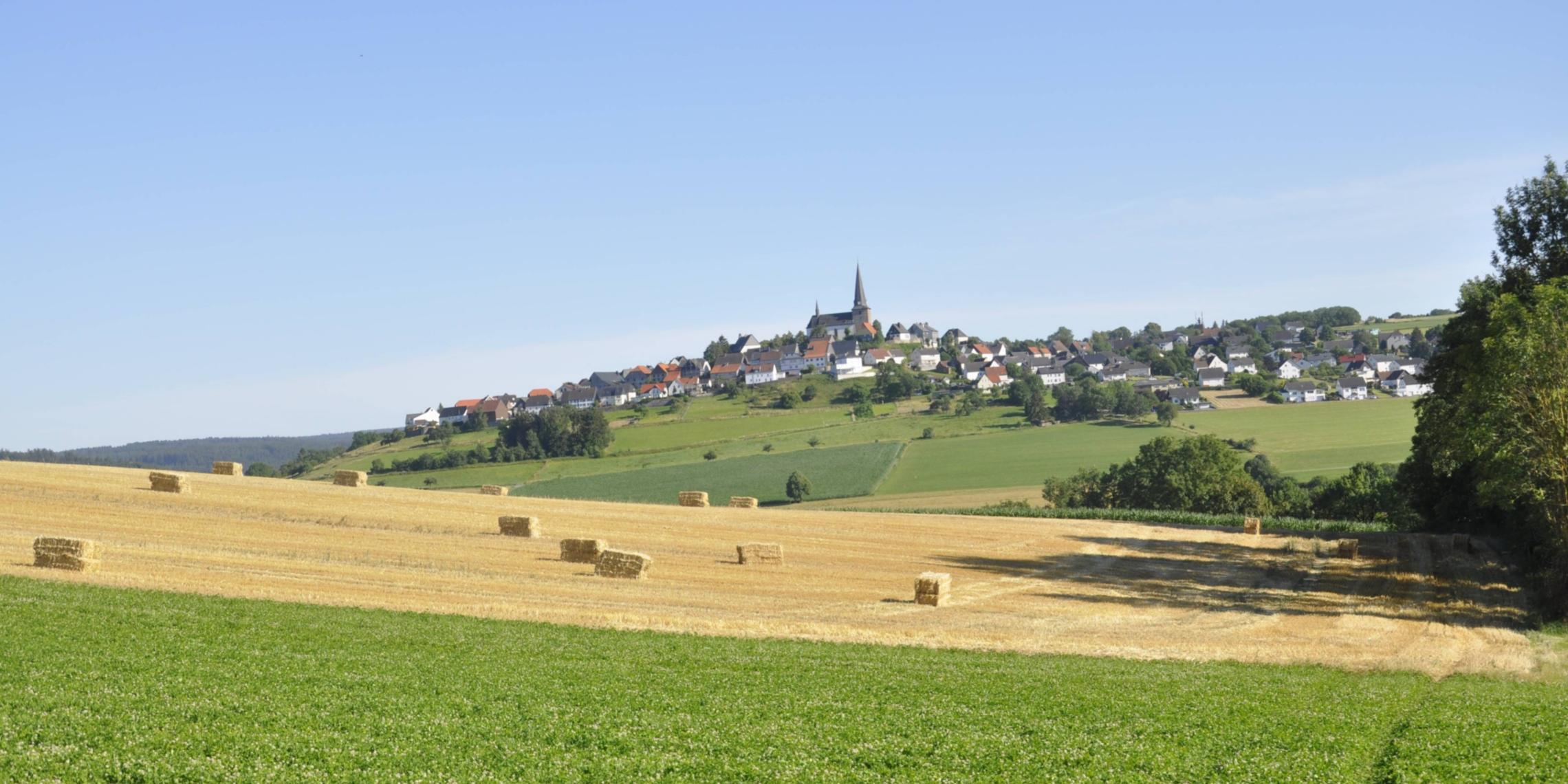 Schöpfungsfreundliche Verpachtung