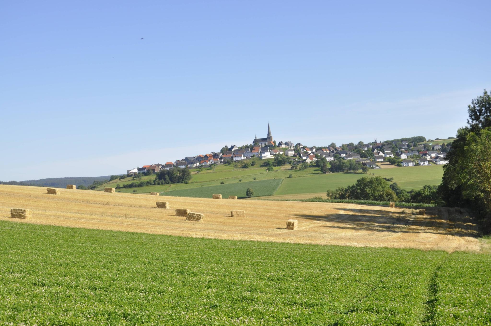 Schöpfungsfreundliche Verpachtung