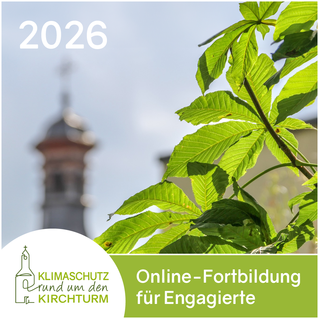 Klimaschutz rund um den Kirchturm 2026