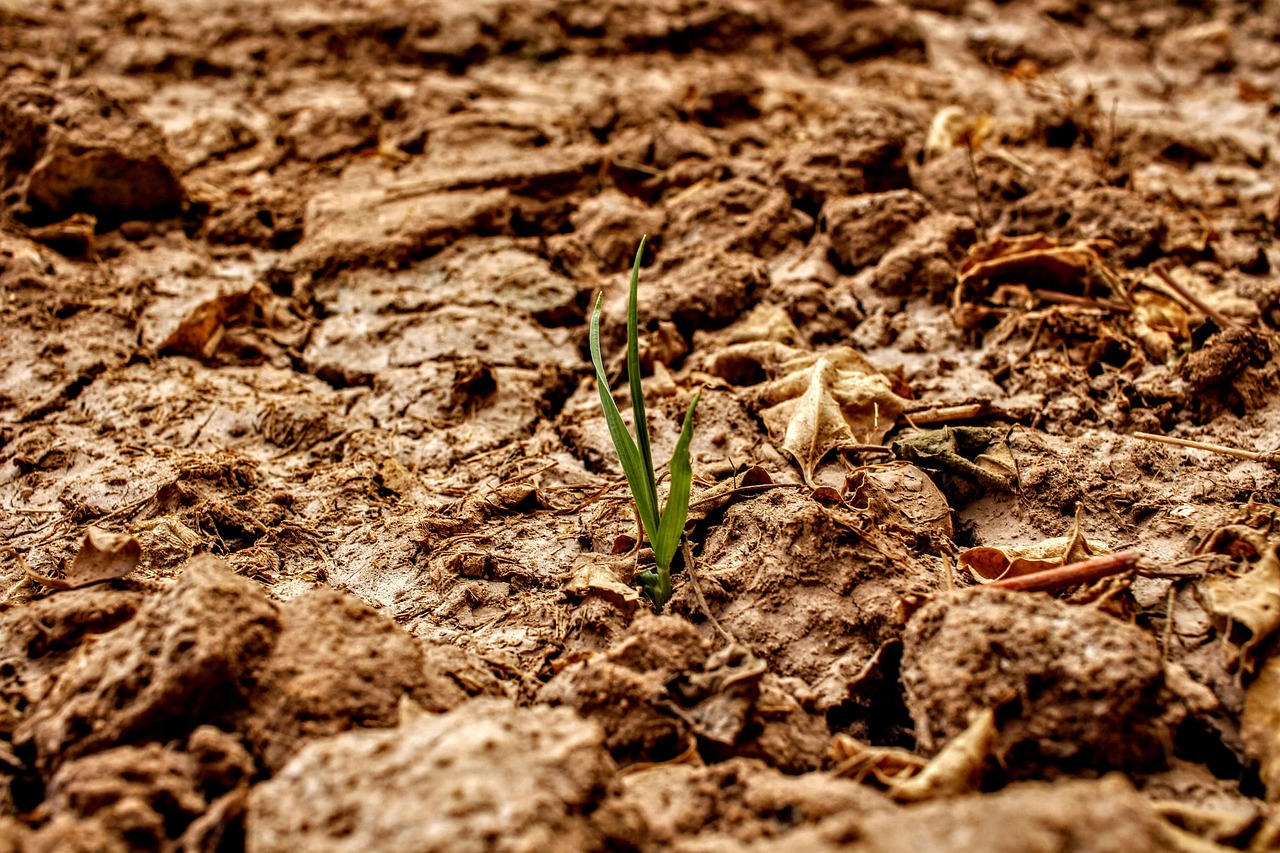 Klimaschutz: Wir sind bereit