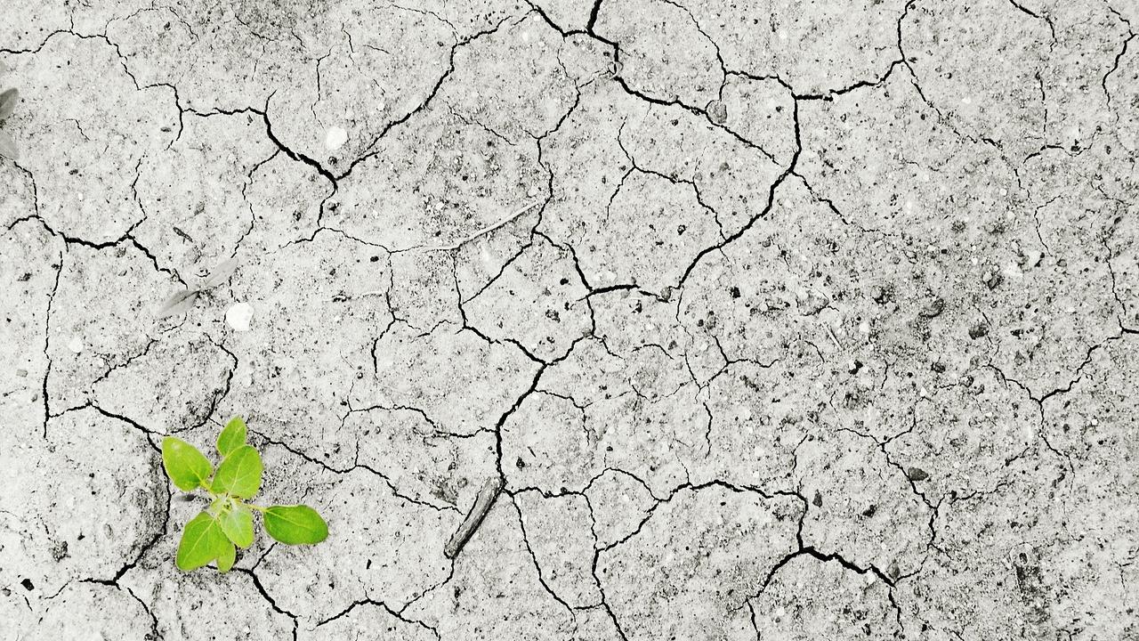 28. UN Klimakonferenz