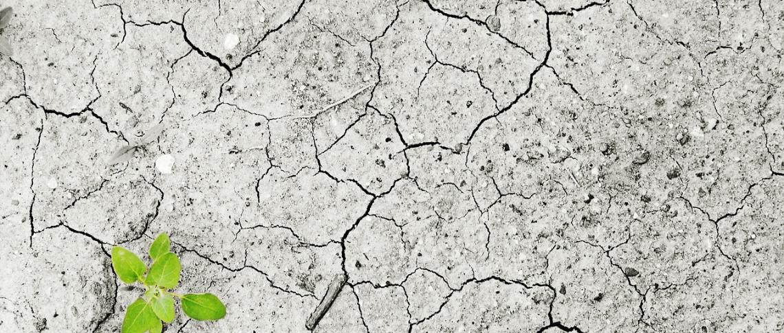 28. UN Klimakonferenz