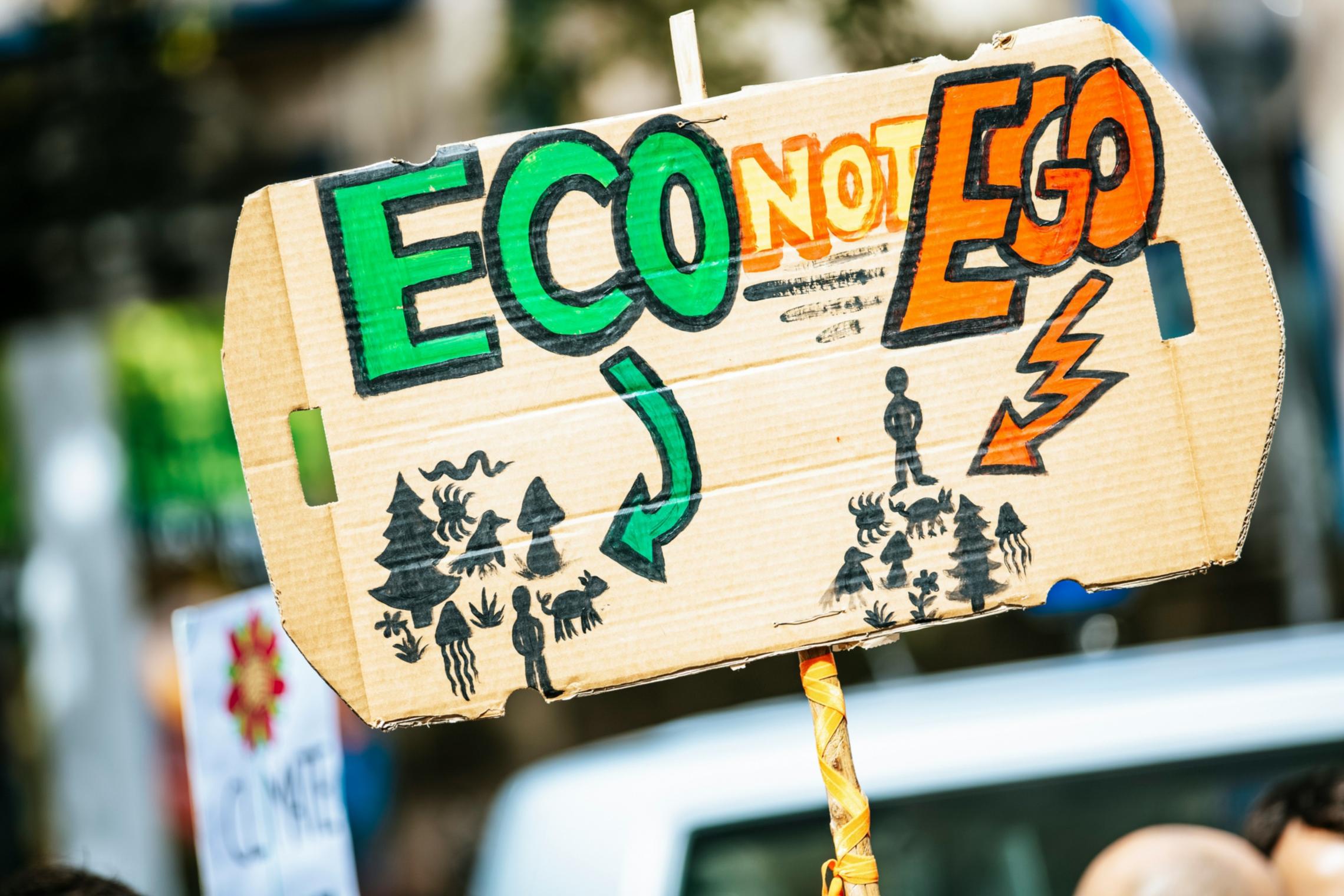Schöpfungsverantwortung bedeutet: Nicht maximale Ausbeutung für den Eigennutz, sondern liebevolle Zuwendung zur Mehrung des Lebens und der Lebendigkeit aller.