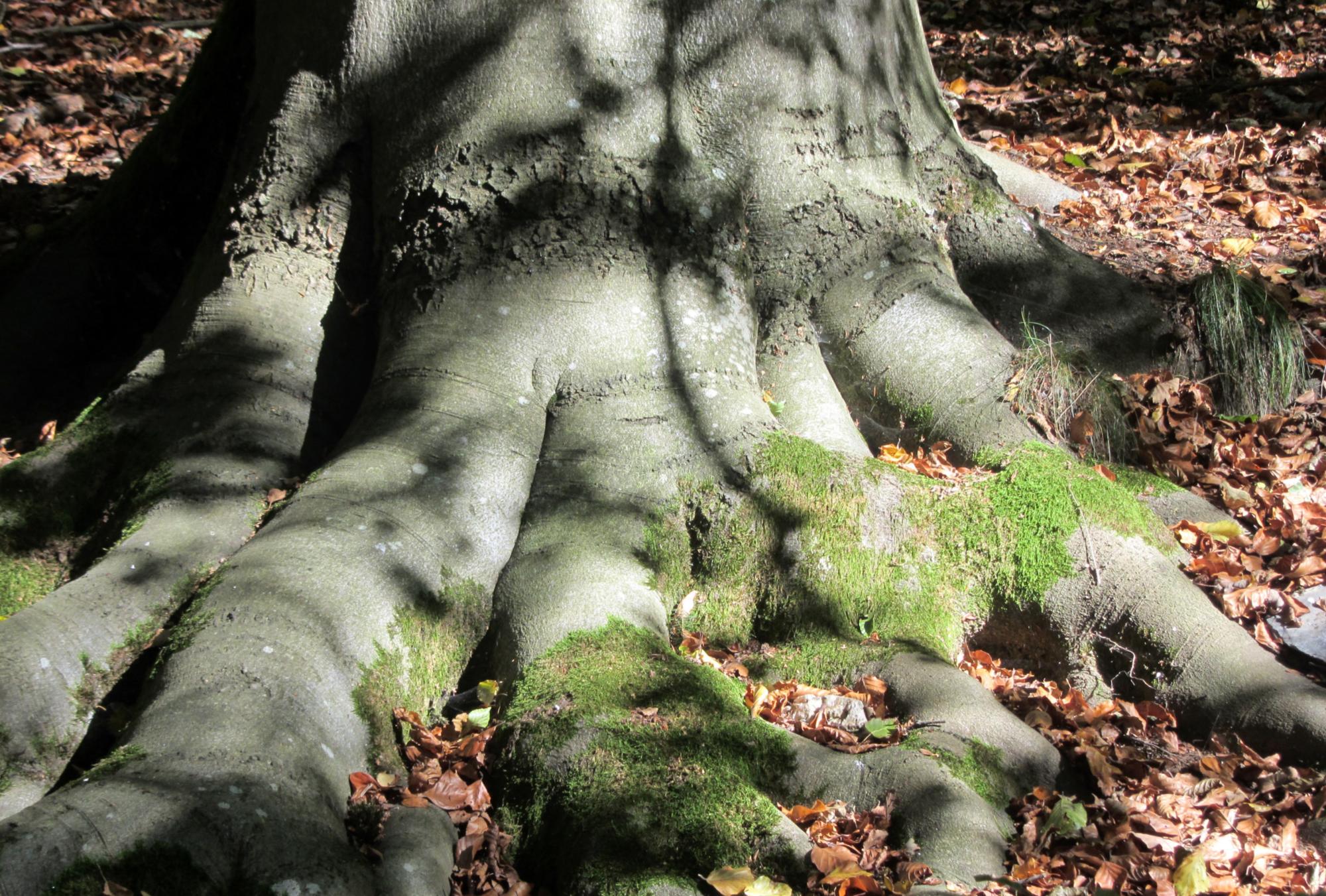 Lernorte - konkret und nah