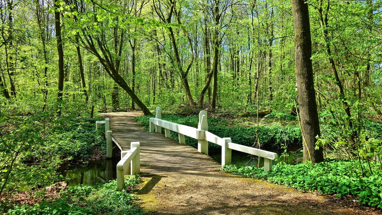 Veranstaltungen und Neuigkeiten