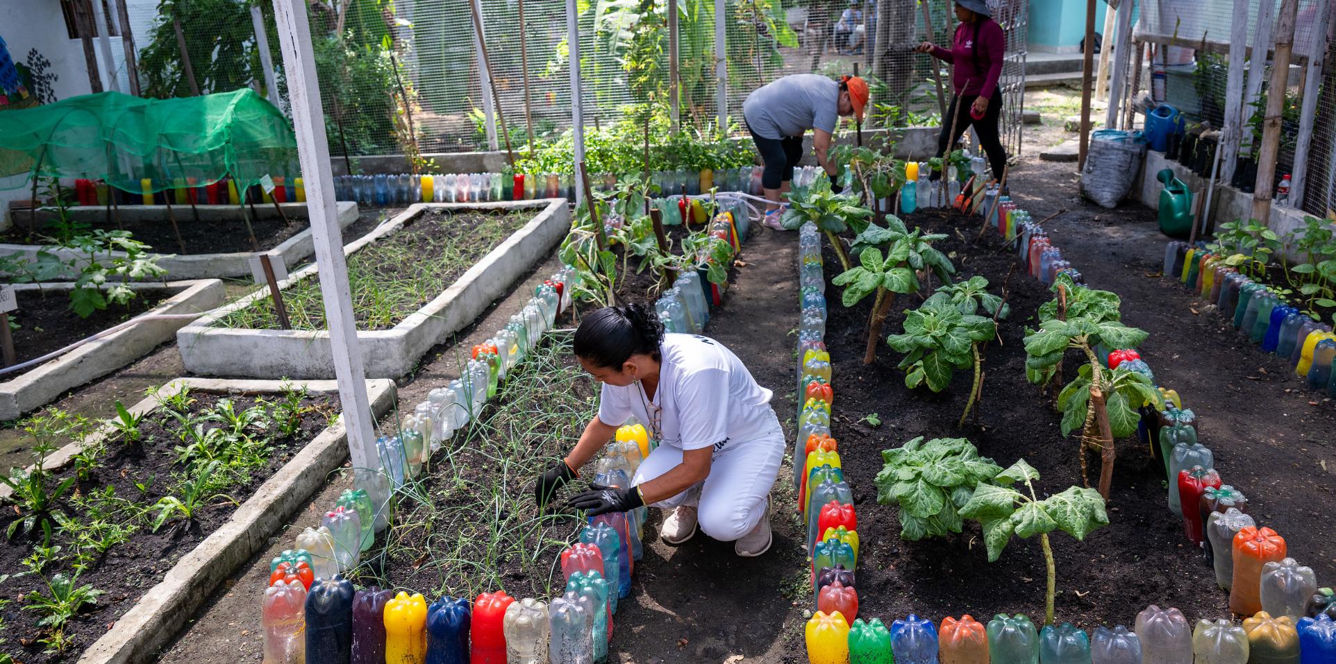 Adveniat-Weihnachtsaktion 2025