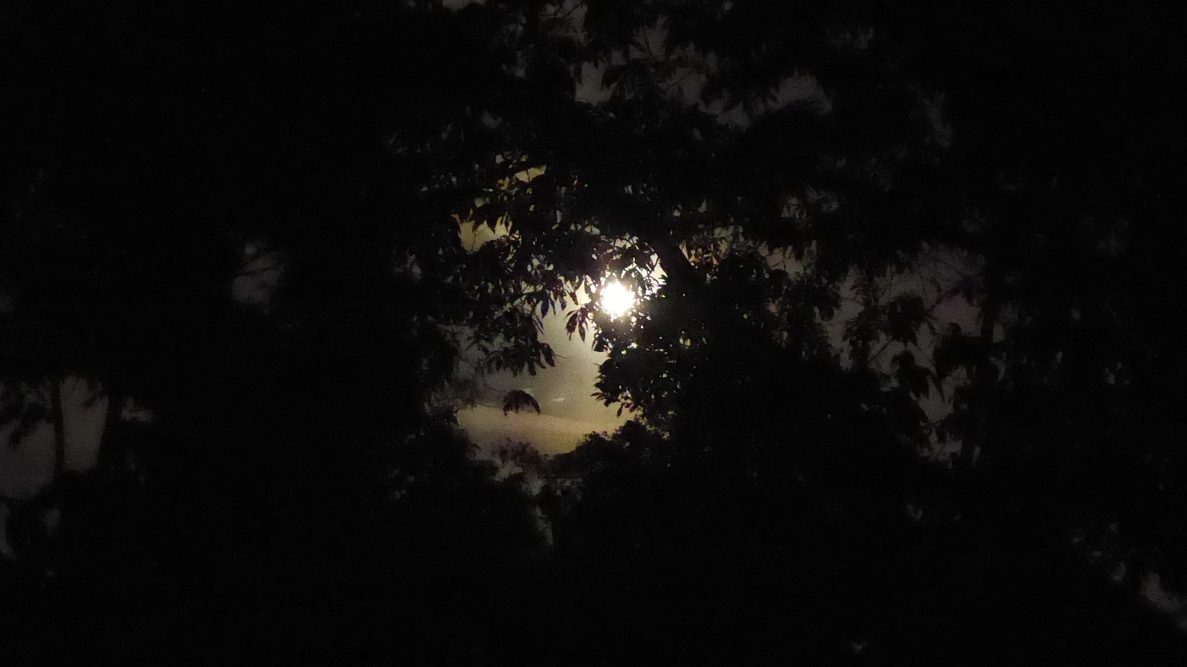 Mondlicht