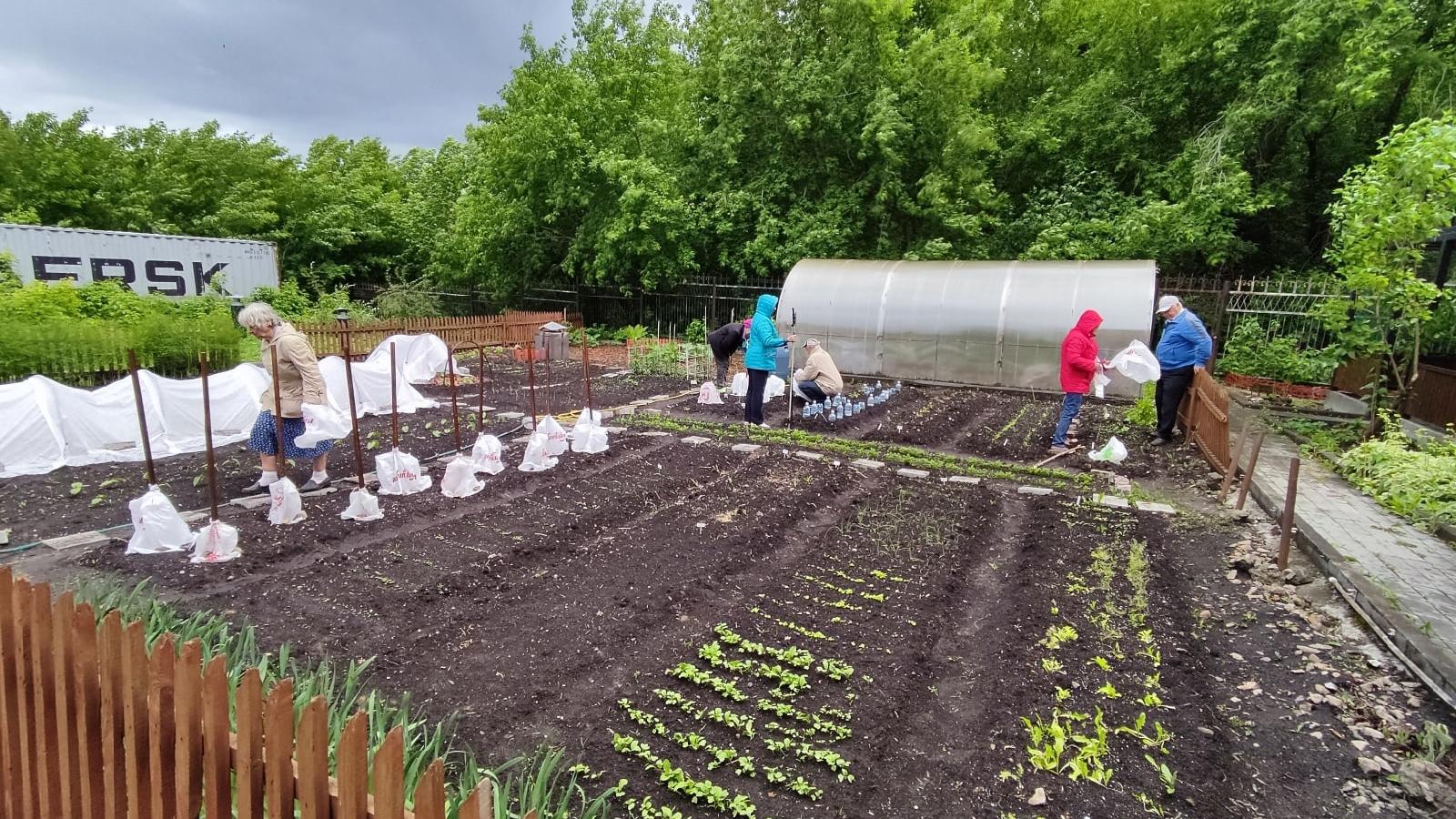 Der Nutzgarten der Caritas in Novosibirsk befindet sich auf demselben Gelände wie die Einrichtungen.