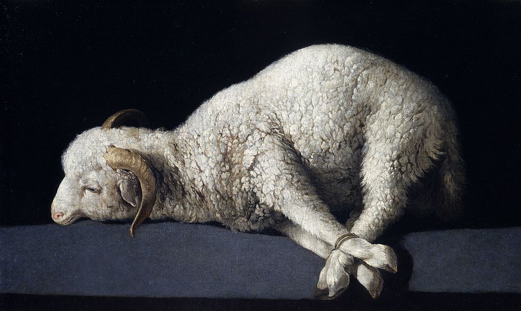 Francisco de Zurbarán  (1598–1664), Agnus Dei