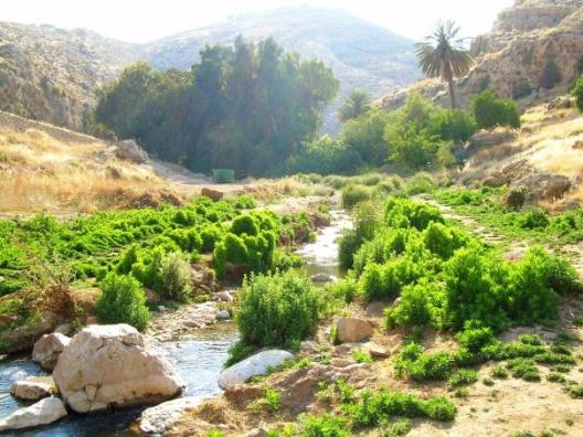 Das Bild ist im Wadi Qelt zwischen Jericho und Jerusalem aufgenommen, wo die Erzählung vom barmherzigen Samariter spielt. 