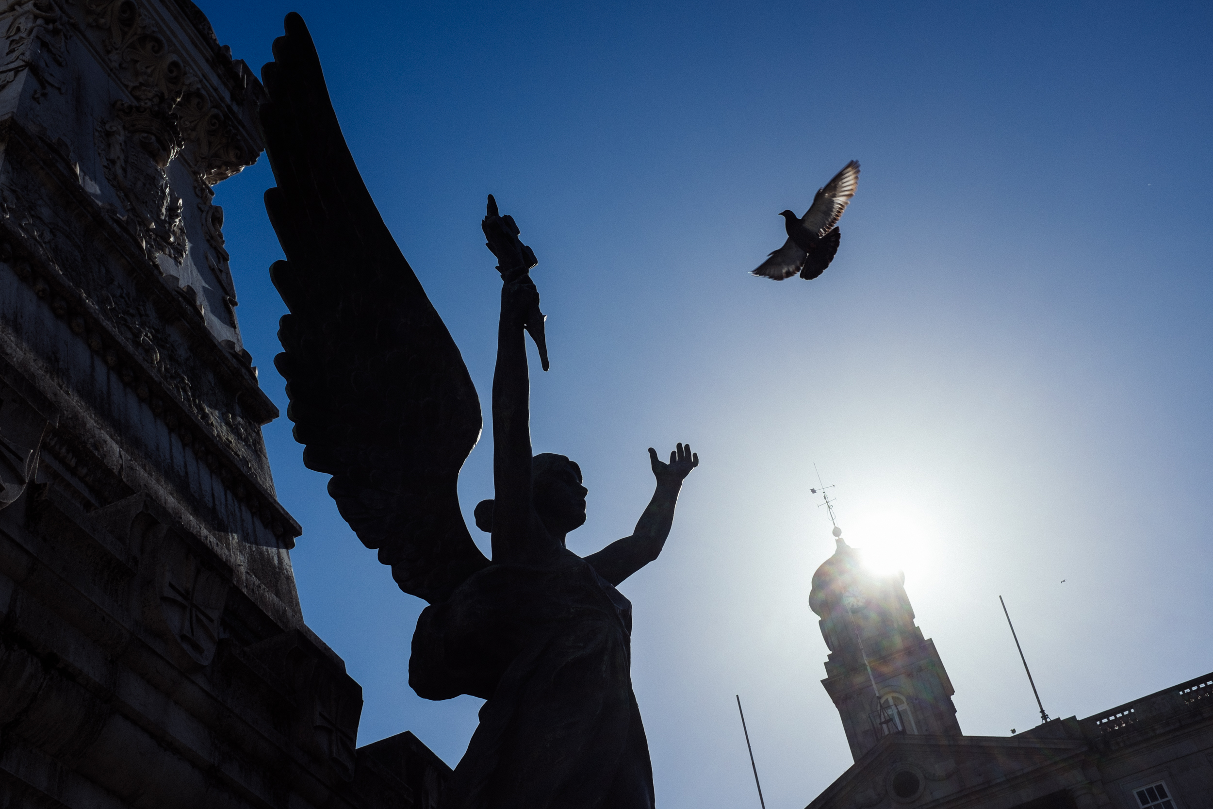 Kirche in Porto, eine Engelstatue mit erhobenen Armen ist vor dem Himmel fotografiert, sodass es so wirkt, als habe der Engel gerade die Taube losgeschickt, die darüber fliegt. .